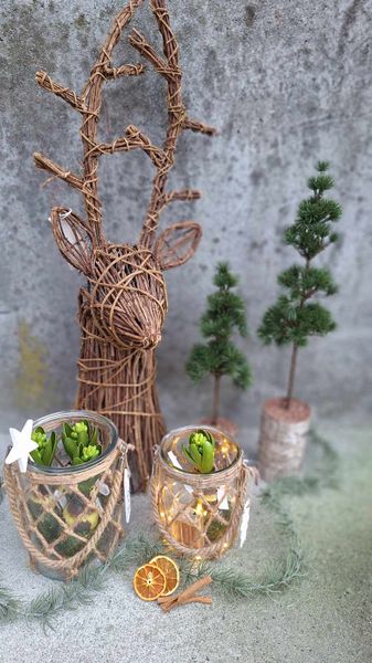 Hovedbilde Furu På Stubbe 3-pk