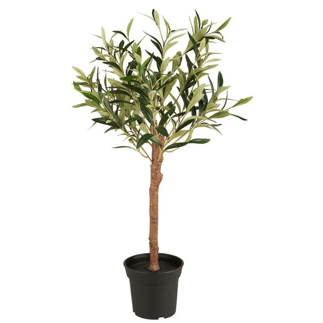 Hovedbilde OLIVENTRE 75cm 