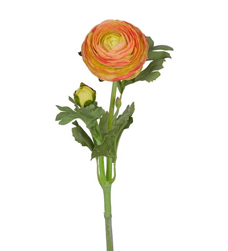KVIST Ranunkel Rosa