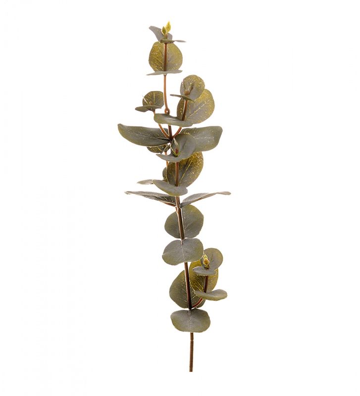 EUCALYPTUS Gren 40cm