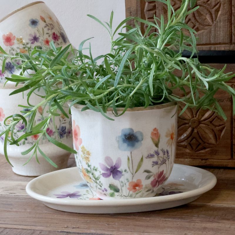 POTTER Fleurville Serie 
