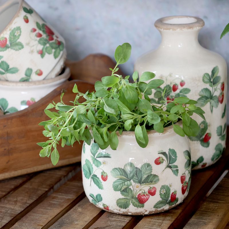 POTTER Jordbær Serie 