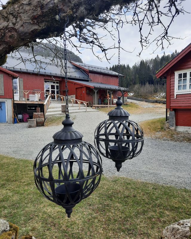 HENGEAMPEL Torunn 2-pk