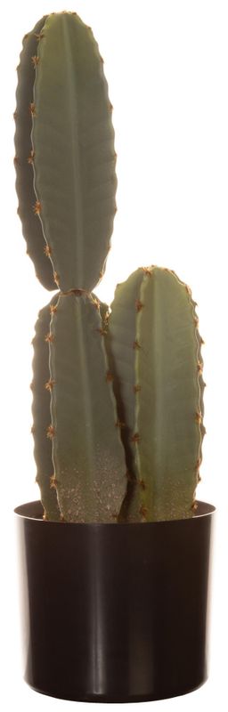 KAKTUS Evigvarende 49cm 