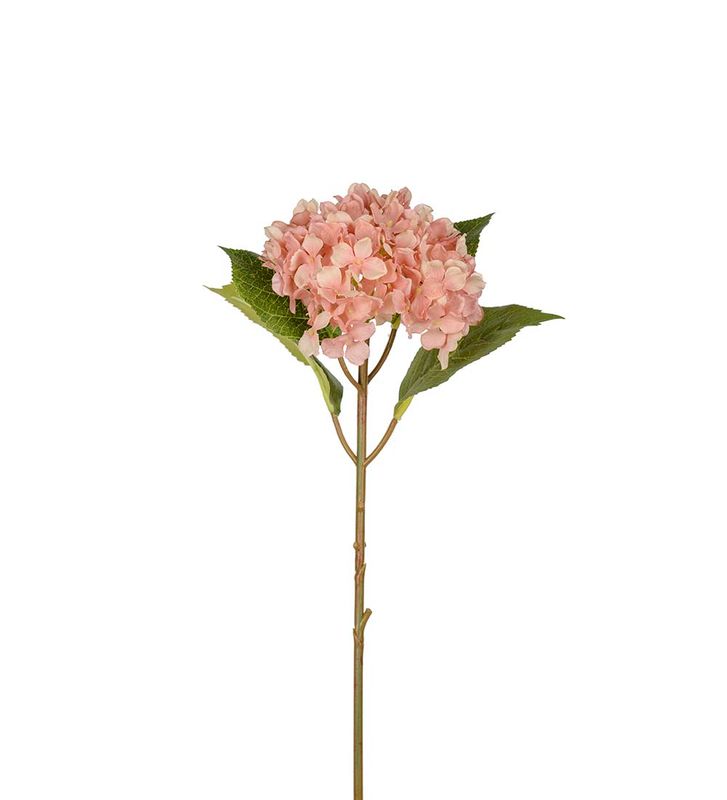KVIST Hortensia Rosa 