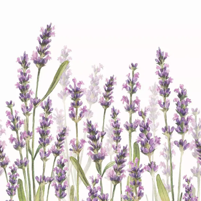 Hovedbilde SERVIETT Lunsj Lavender Shades White