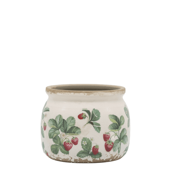 Hovedbilde JORDBÆR Serie 