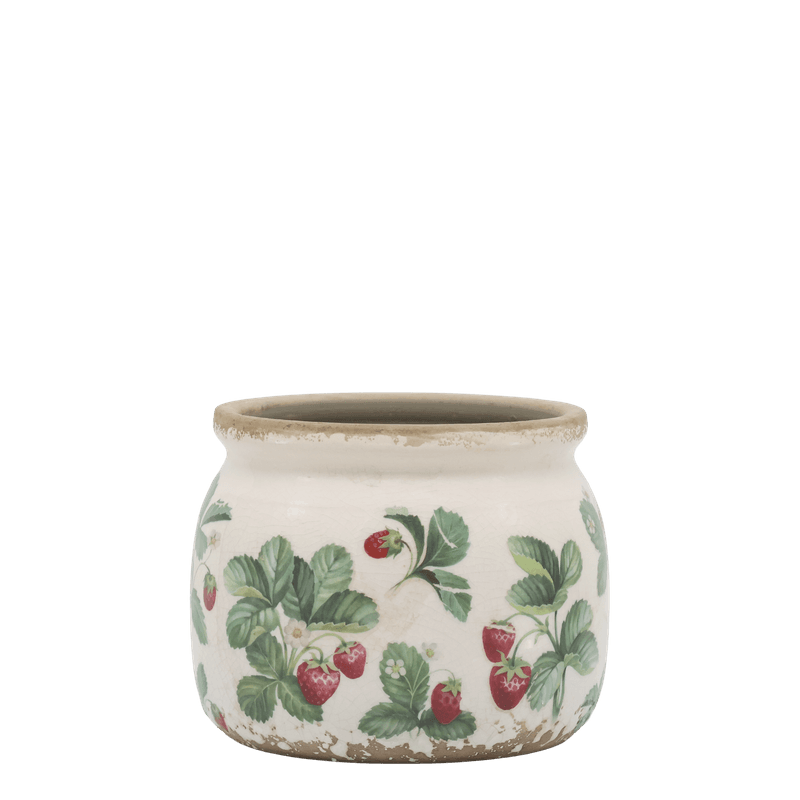 POTTER Jordbær Serie 